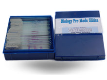 Load image into Gallery viewer, PRE-MADE SLIDES