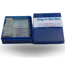 Load image into Gallery viewer, PRE-MADE SLIDES