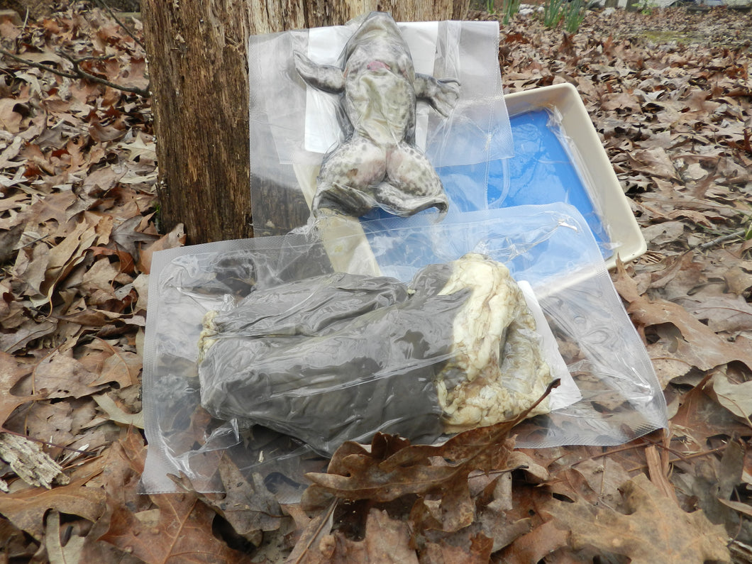 A7: BIOLOGY SPECIMENS AND LAB ITEMS ONLY