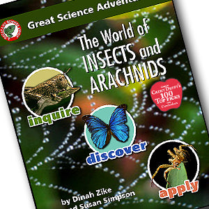 The World of Insects and Arachnids